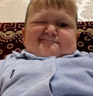 🌟 emoji Хасбик Telegram sticker 11 of 38
