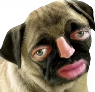Sticker from Family memes