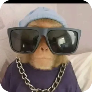 😎 emoji ГЕСУС ЛЕГЕНДА Telegram sticker 18 of 79