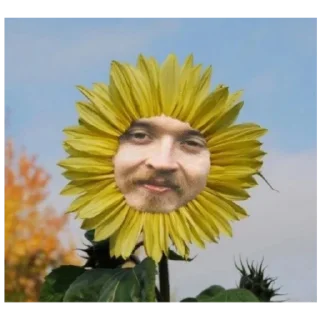 🌻 emoji Егор Летов Telegram sticker 19 of 22