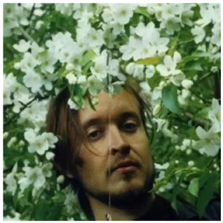 🌿 emoji Егор Летов Telegram sticker 17 of 22