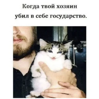 🐱 emoji Егор Летов Telegram sticker 5 of 28