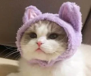 👉 emoji fuck Telegram sticker 17 of 66