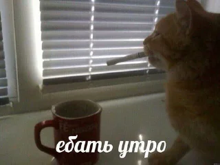 🚬 emoji fuck Telegram sticker 23 of 66