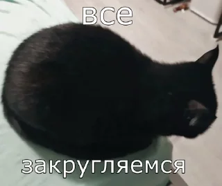 Sticker from Люся и все-все-все