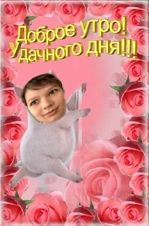 🌟 emoji Славик животные Telegram sticker 10 of 42