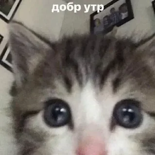 😃 emoji вдыдщаща @kkmadikk Telegram sticker 10 of 108