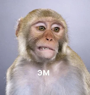 🌟 emoji брадке Telegram sticker 2 of 38