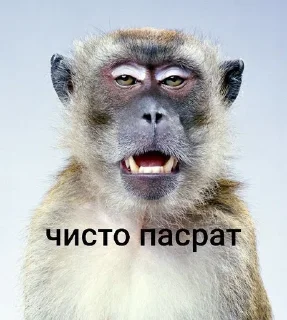🌟 emoji брадке Telegram sticker 13 of 38