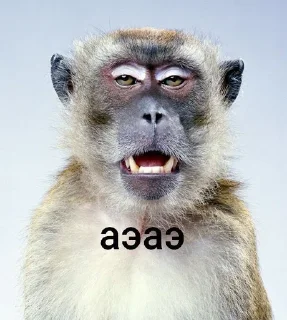 🌟 emoji брадке Telegram sticker 9 of 38