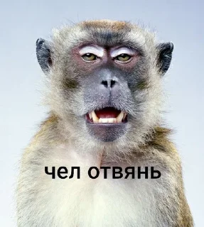 🌟 emoji брадке Telegram sticker 14 of 38