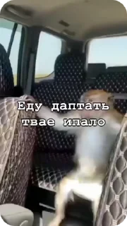 Sticker from Влад гей