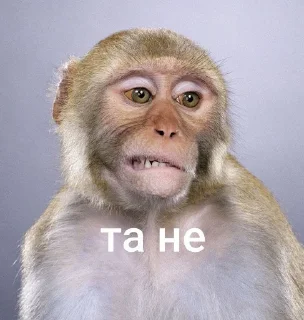 🌟 emoji брадке Telegram sticker 5 of 38