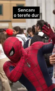 🕸️ emoji Spiderman Telegram sticker 19 of 45