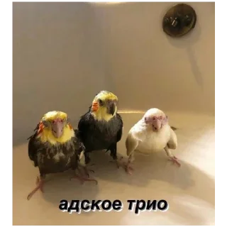 🍔 emoji больше стикеров тут: @stikeryy7 Telegram sticker 3 of 19
