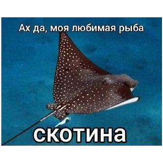 🍔 emoji больше стикеров тут: @stikeryy7 Telegram sticker 6 of 19