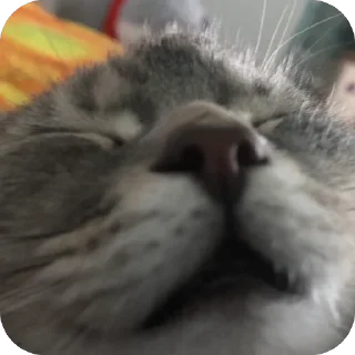 🥰 emoji бетономешалка @sozdat_stikery_bot Telegram sticker 6 of 68