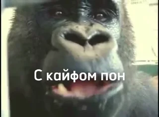 🤤 emoji Набор стикеров от @Ctikerubot Telegram sticker 22 of 49