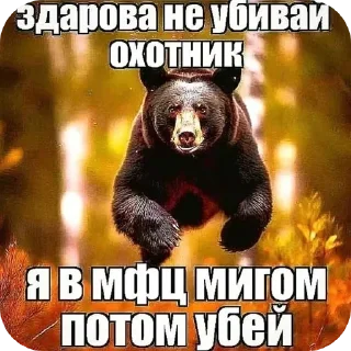 Sticker from Тики токс @kqlff