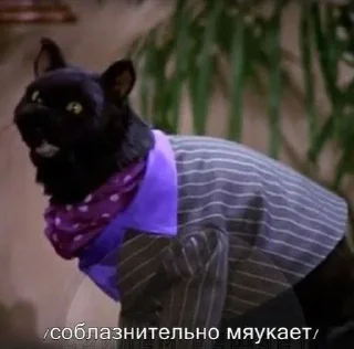 🙂 emoji Собственность Эшли. Telegram sticker 23 of 68