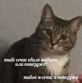 🙂 emoji Собственность Эшли. Telegram sticker 16 of 68