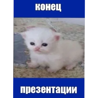 😀 emoji Омагад 😨😨😨 Telegram sticker 8 of 120