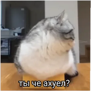 😡 emoji РасКумарик @prstickers Telegram sticker 18 of 26