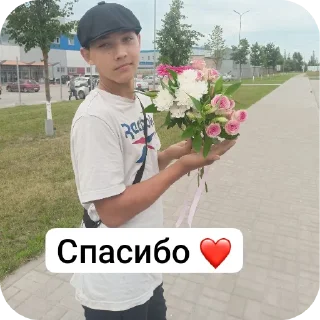 🚗 emoji Хайп Telegram sticker 9 of 51