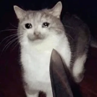 😭 emoji Грустные котики Telegram sticker 10 of 15