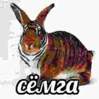 Sticker from Дед в маршрутке :: @SIXXRLAME