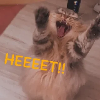 💟 emoji ✨ Пух ✨ Telegram sticker 23 of 30