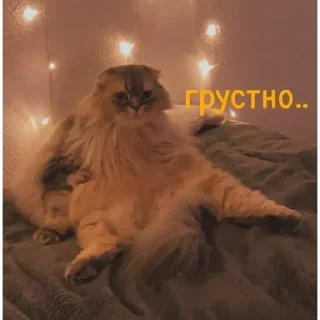 💟 emoji ✨ Пух ✨ Telegram sticker 17 of 30