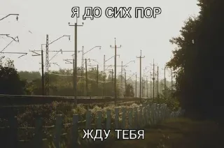 😕 emoji тополиный пух Telegram sticker 19 of 48
