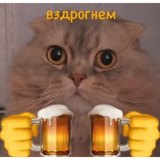 Sticker from ✨ Пух ✨
