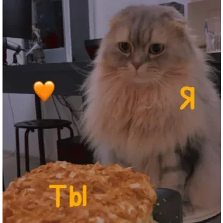 💟 emoji ✨ Пух ✨ Telegram sticker 16 of 30