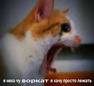 😭 emoji 🇺🇦🇺🇦🇺🇦 (by @top1scam) Telegram sticker 14 of 113