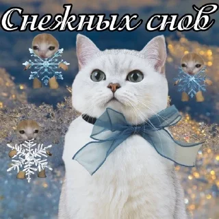 Sticker from Pretty kitty