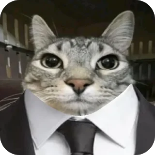 Sticker from Cat