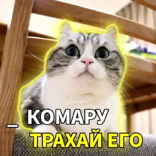Sticker from Комару | автор - @RoxarYay