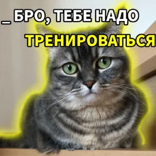 Sticker from Комару | автор - @RoxarYay