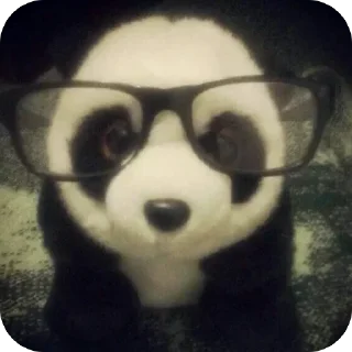Sticker from Доллик 🐼