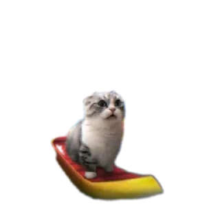 🐱 emoji Стрипси Telegram sticker 20 of 46