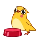 Sticker from Yellow Boy