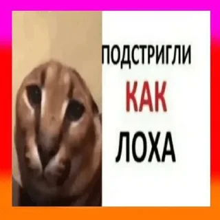 🤪 emoji К анал Telegram sticker 20 of 39