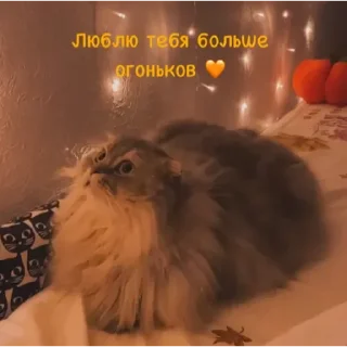 💟 emoji ✨🧡 Пух 🧡✨ Telegram sticker 17 of 30