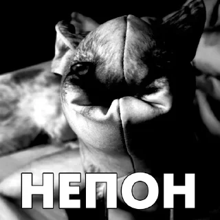 🌚 emoji Лиса блоптоп Telegram sticker 12 of 17