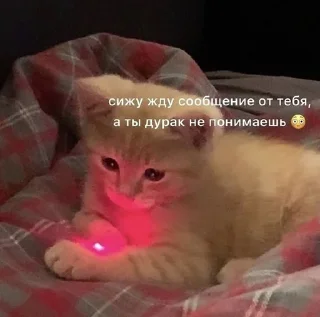 🌟 emoji ДЛЯ КОТИКОВ @RuBlackMafia Telegram sticker 12 of 68