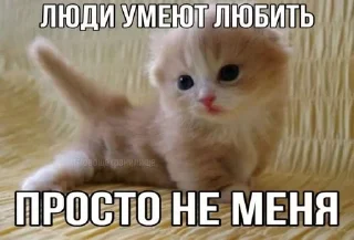 🌟 emoji ДЛЯ КОТИКОВ @RuBlackMafia Telegram sticker 5 of 68