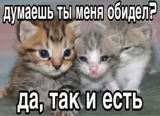 🌟 emoji ДЛЯ КОТИКОВ @RuBlackMafia Telegram sticker 24 of 68
