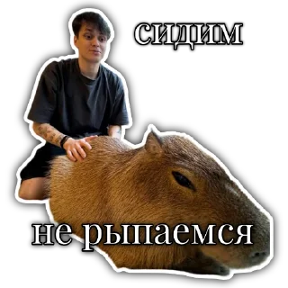 Sticker from Бустер by @danilichy